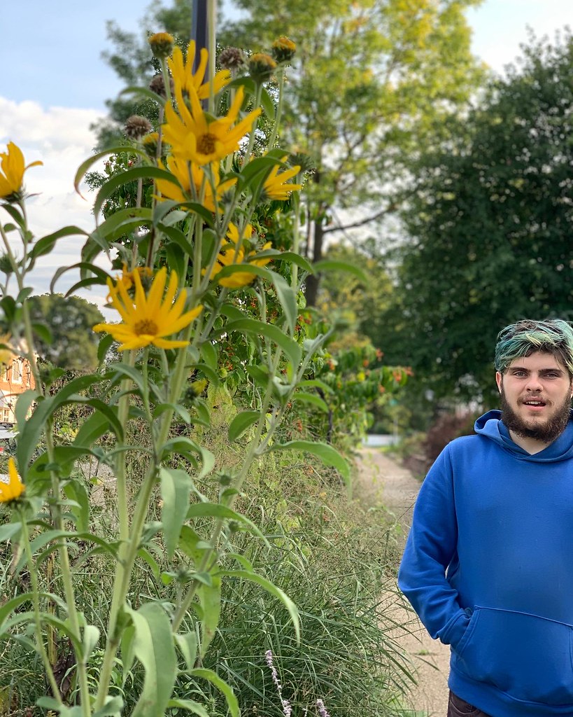 Son with sunflowers