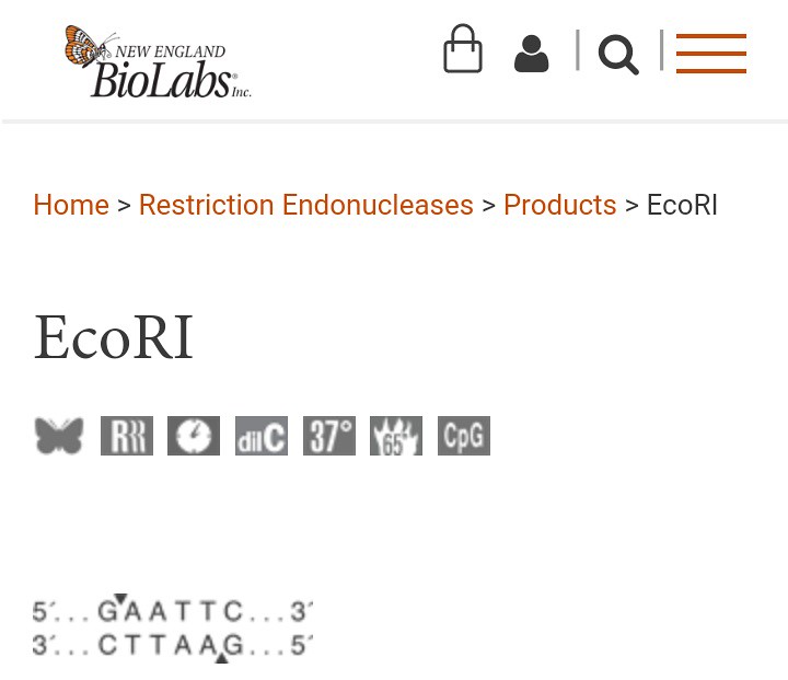 EcoR1 restriction endonuclease