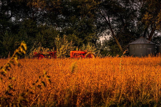 Iowa's Agriculture Past