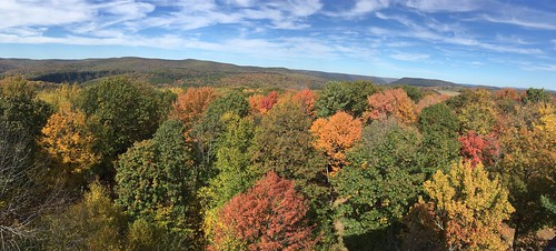 autumn landscape firetowerplatform firetower fallfoliage trees leaves color colors pano tiogacounty northerntier pennsylvaniawilds