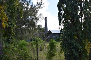 Petite Village Sugar Mill