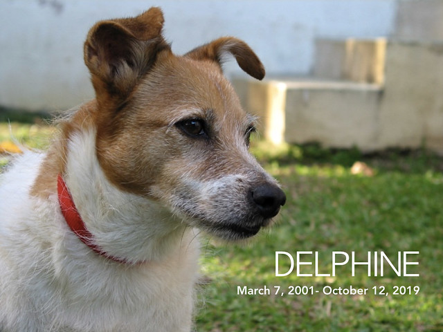 Farewell, Delphine