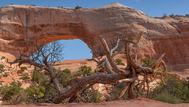 Wilson Arch, south of Moab, Utah