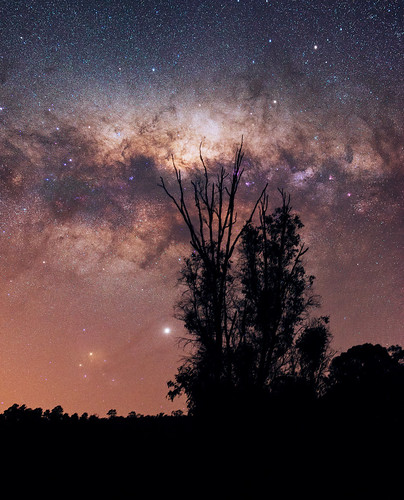 milky way dwellingup lane poole reserve western australia great rift panorama stitched ms ice landscape wide astrophotography astronomy stars galaxy galactic core space night photography nikon 35mm d5500 dslr long exposure perth southern hemisphere cosmos outdoor sky ioptron skytracker tracked nature milkyway