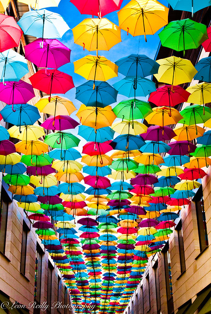 Avenue of Umbrellas
