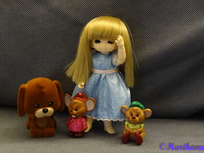 Les dolls de Harikanu : Fairyland, Cocoriang, etc. 48899311308_758182ac59_w