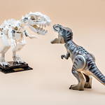 REVIEW LEGO Ideas 21320 Dinosaur Fossils