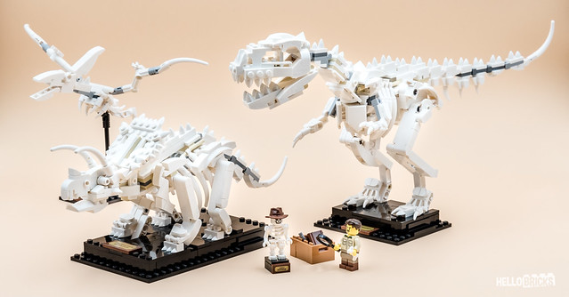 REVIEW LEGO Ideas 21320 Dinosaur Fossils