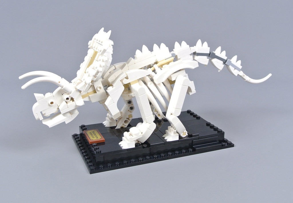 lov sladre Intensiv Review: 21320 Dinosaur Fossils | Brickset: LEGO set guide and database