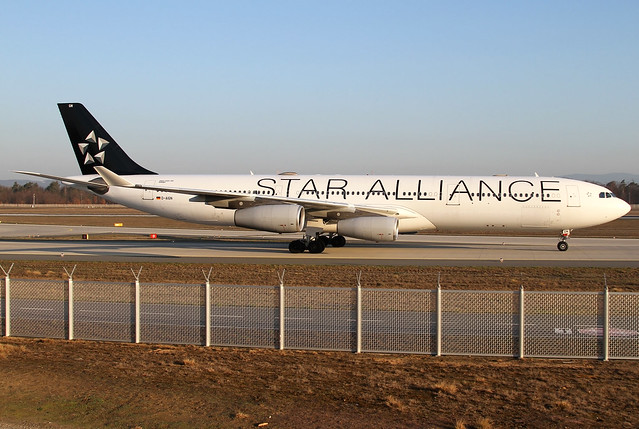 D-AIGN | Lufthansa Cityline Airbus A340-313X | Frankfurt Airport EDDF/FRA | 30/03/19