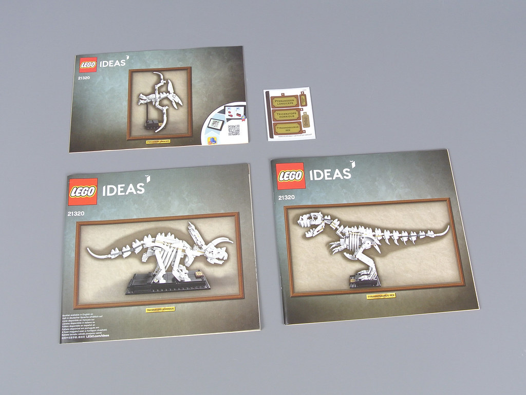 LEGO 21320 Dinosaur Fossils review | Brickset
