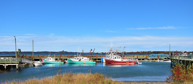 The boats for fresh fish