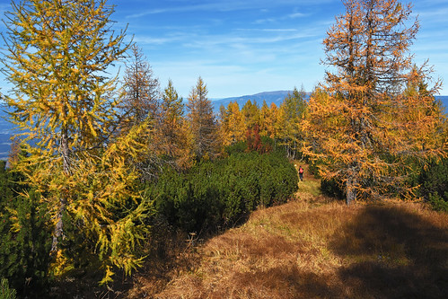 austria karavanke karawanken karawanks outdoors hiking landscape mountain peca petzen autumn fall larches