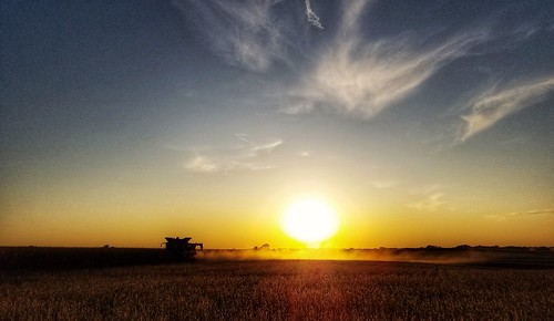 sunset harvest dusk agriculture farming rural country trialanderror farmmachinery corn field