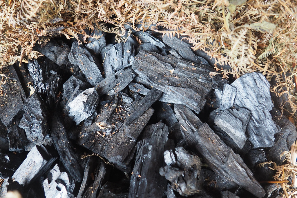 Charcoal is the main source of energy for cooking near Kisangani.