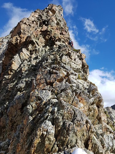 IMG-20191015-WA0014
