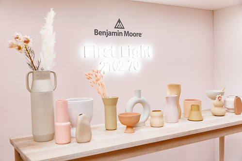 Benjamin Moore:Color of the Year 2020