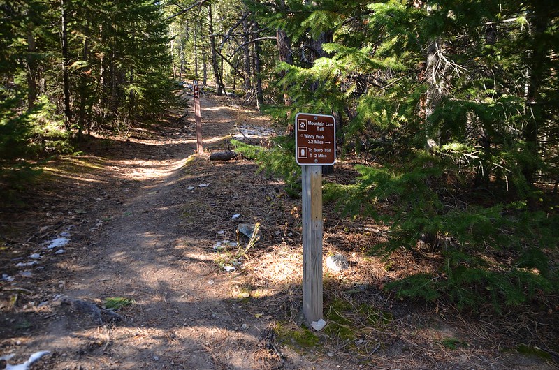 Burro Trail split