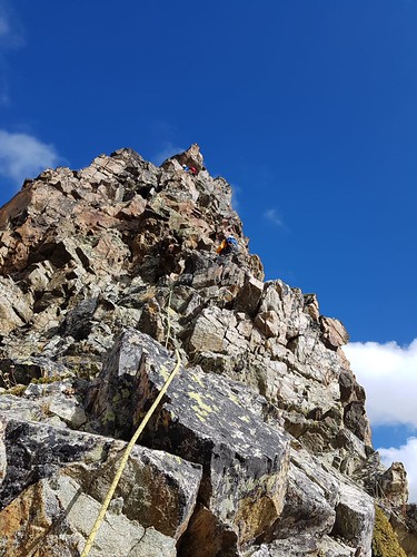 IMG-20191015-WA0013