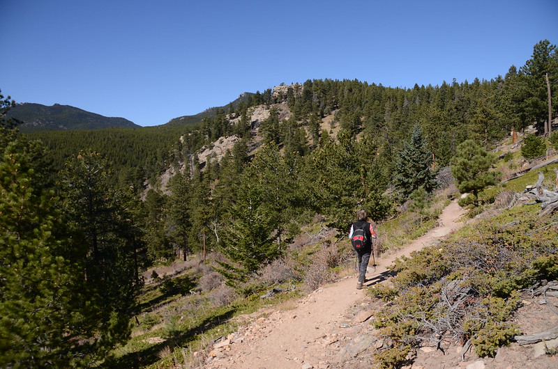 Mountain Lion Trail, Colorado (86)