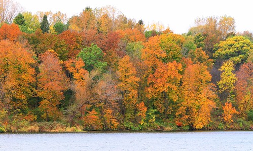 fall color lake meyer park winneshiek county iowa larry reis