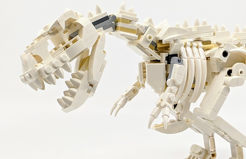 21320: LEGO Ideas Dinosaur Fossils Review