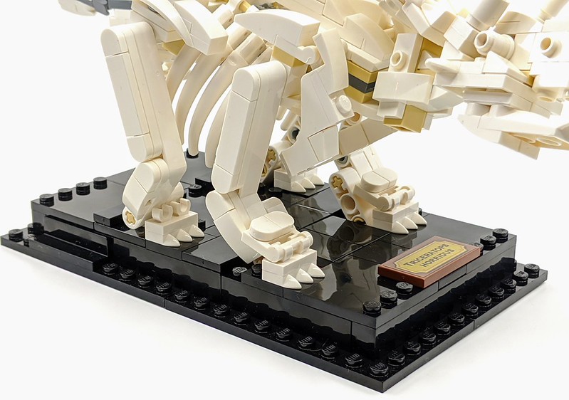 21320: LEGO Ideas Dinosaur Fossils Review