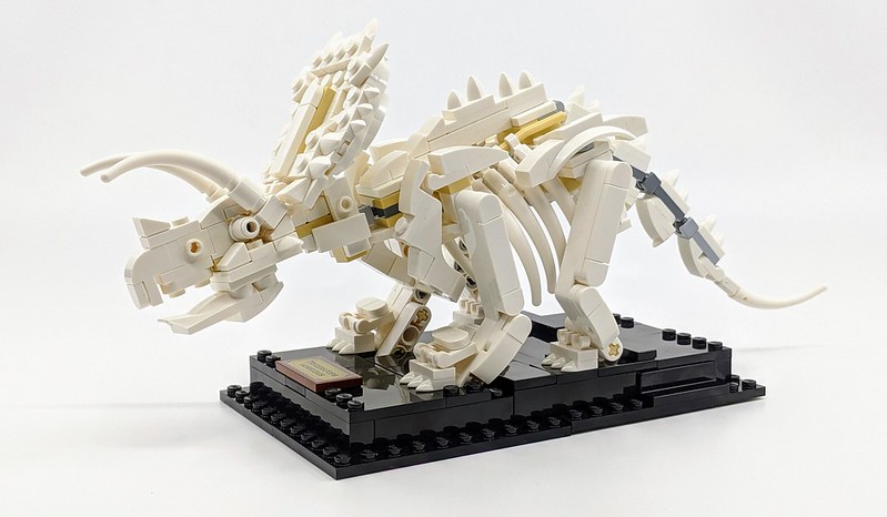 21320: LEGO Ideas Dinosaur Fossils Review