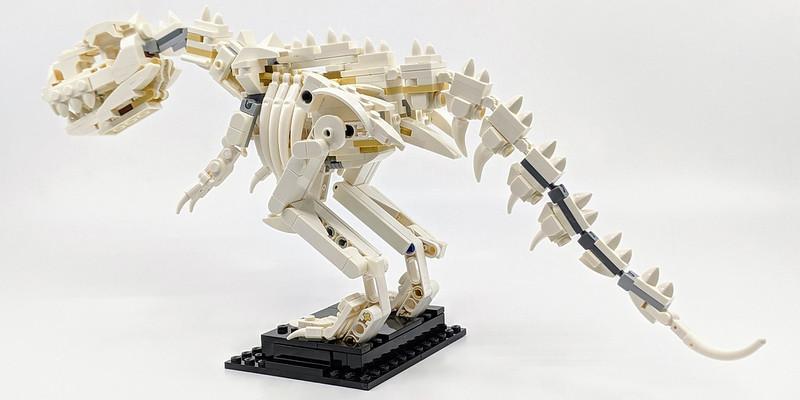 21320: LEGO Ideas Dinosaur Fossils Review