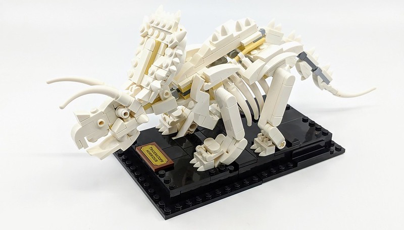 21320: LEGO Ideas Dinosaur Fossils Review