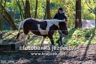 254L_0046