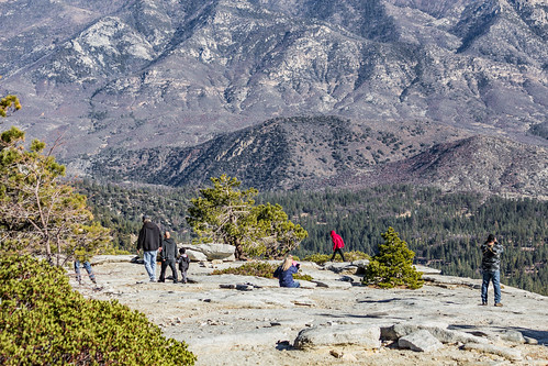 california america granite domerock usa mountain plant tree nature person unitedstates stranger tularecounty postedonflickr photosbydavid jfflickr