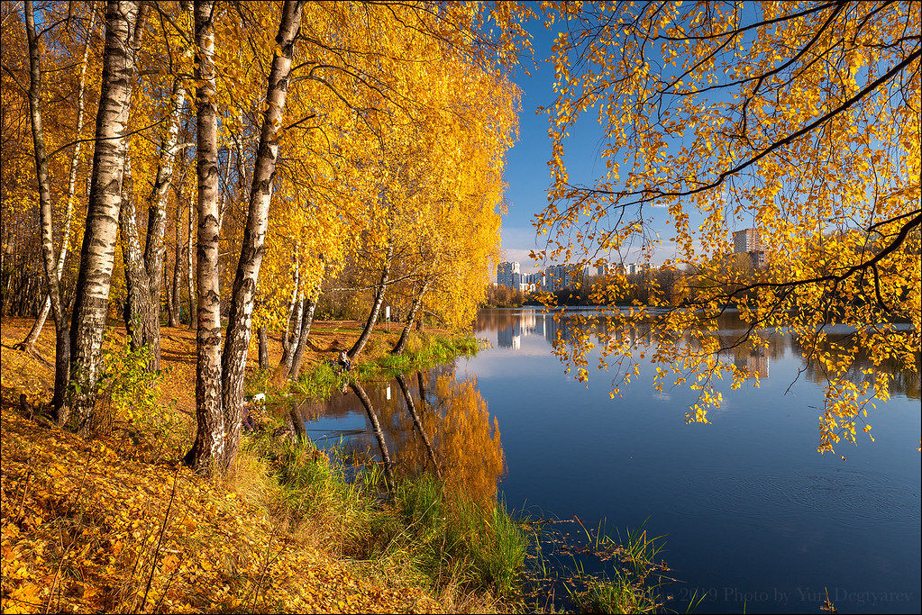 Russia. Balashikha. Golden autumn.