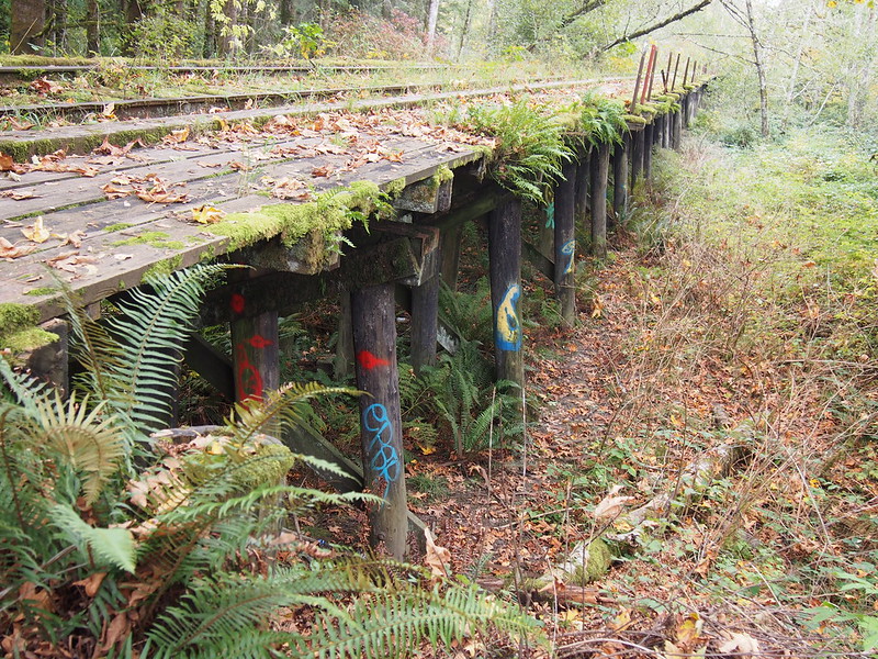 Abandoned Milwaukee Road Trestle: This used to connect both the old Weyerhaeuser mill and the Milwaukee Road's branch line to Everett to its Pacific Extension mainline.
