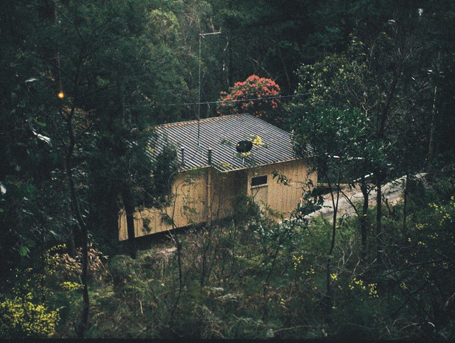 Building in the forest