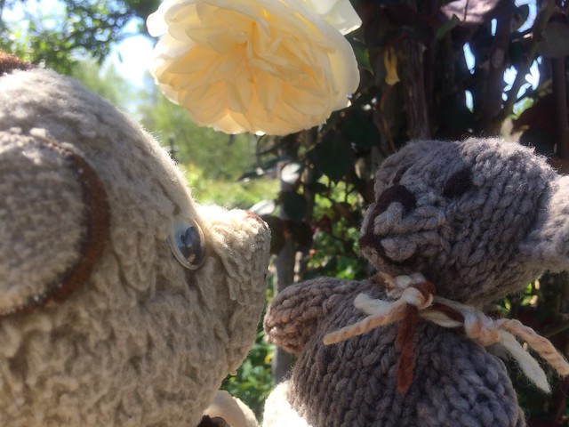 Paddington and Scout Stop to Smell the Roses 1.