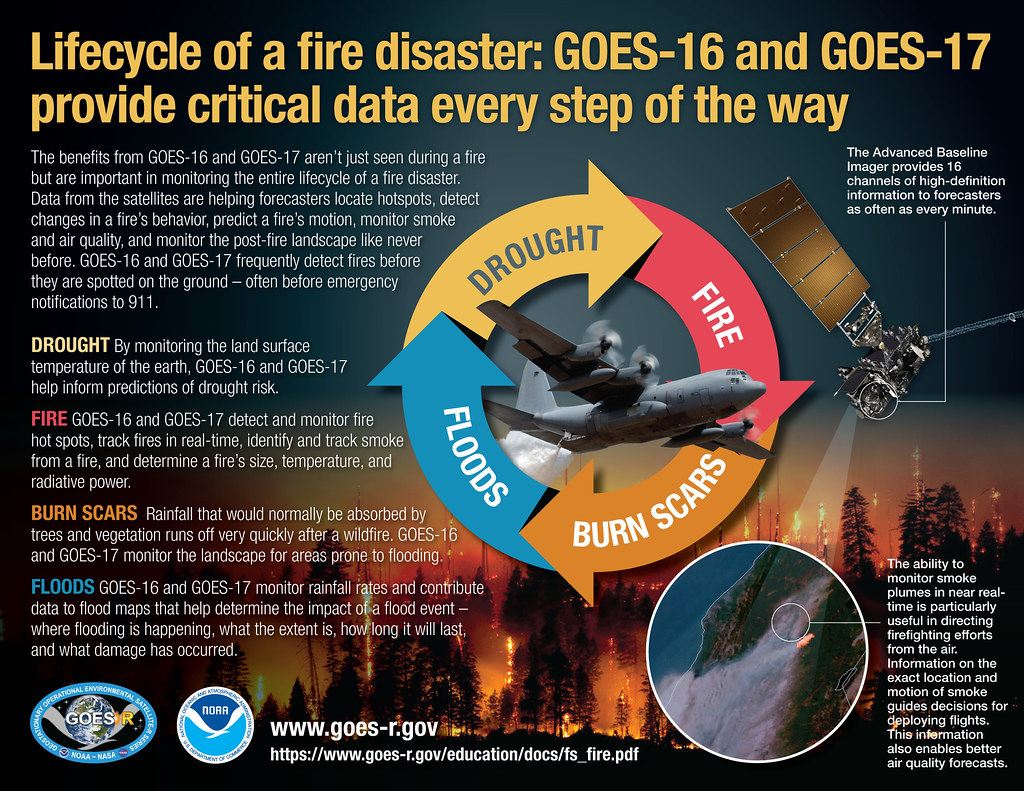 Lifecycle of a Fire Disaster