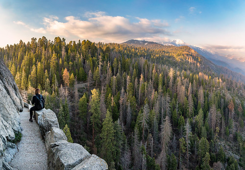sequoianationalpark california unitedstatesofamerica sequoiakingsnps sequoia moro rock usa travel adventure view landscape