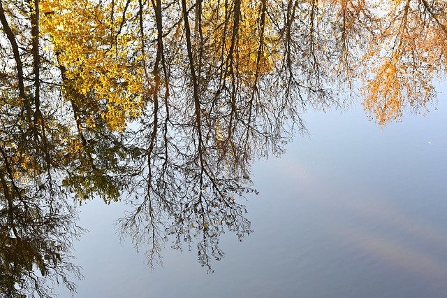watery fall reflections