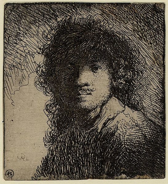 Rembrandt-self-portrait-1629.jpg.pagespeed.ic.S4sFsVdiLE