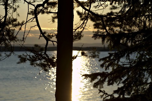stefanorugolo pentax k5 pentaxk5 kmount tamronspaf90mmf28dimacro11 tamron90mm sunset trees silhouettes shimmer sun baltic balticsea archipelago sweden