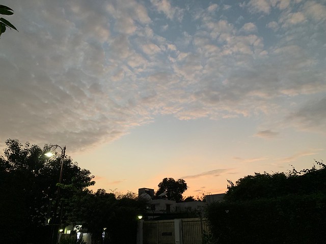 City Nature - Sky Watching, New Moti Bagh