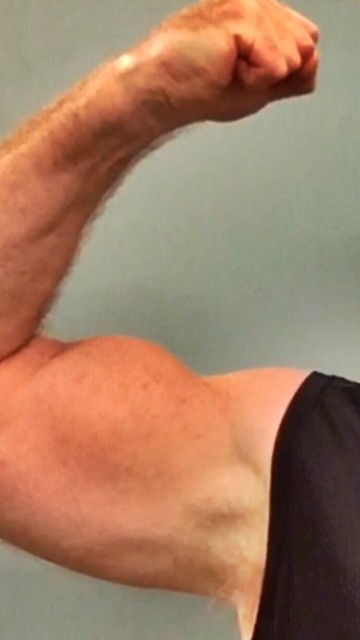 Muscular biceps
