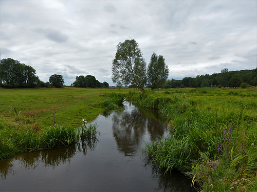 1490453 panasonicdmcfz150 swalm beek brook stream swalmen limburg nederland netherlands holland landschap landscape landschaft paysage ngc