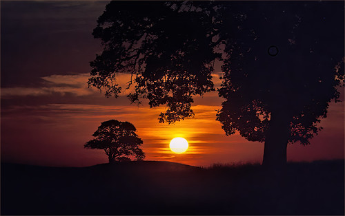 landscape sunrise contracostacounty eastbay sfbayarea antioch ca filmscanned slidefilm agfachrome 35mm oaktree tree