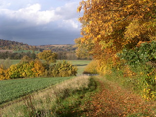 On Remenham Hill Henley via Hambleden walk