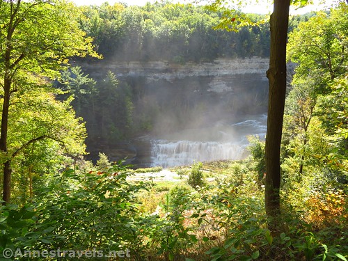 The Lower Falls from the old camping area, Letchworth State Park, New York