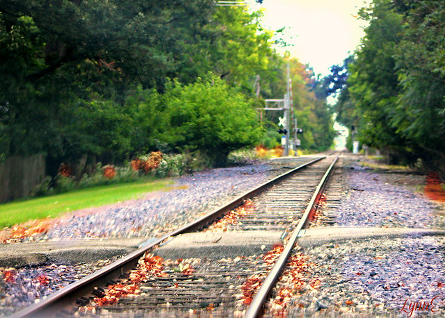 Autumn Down the Tracks