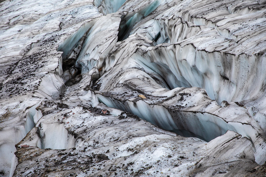 Swiftcurrent Glacier Ice
