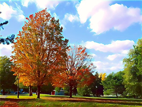 autumn afternoon | by angelinas